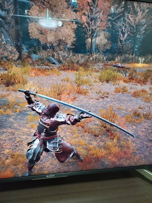 【エルデンリング】この武器の名前と入手先教えてくれ！